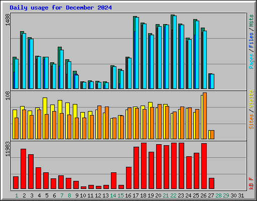 Daily usage for December 2024