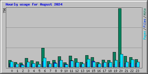 Hourly usage for August 2024