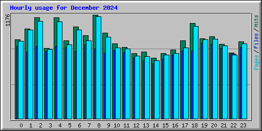 Hourly usage for December 2024