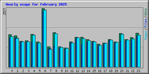 Hourly usage for February 2025