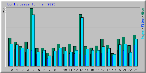 Hourly usage for May 2025