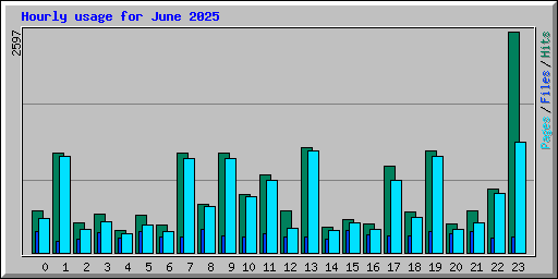 Hourly usage for June 2025