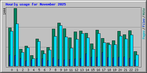 Hourly usage for November 2025
