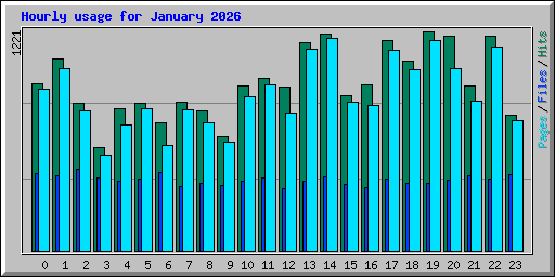 Hourly usage for January 2026