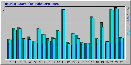 Hourly usage for February 2026