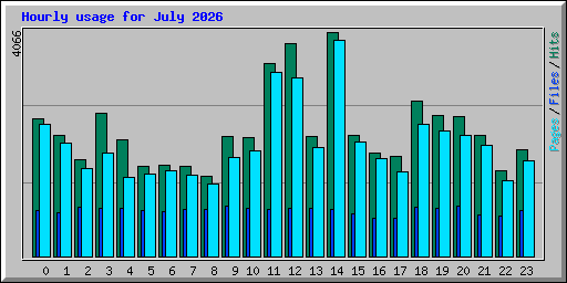 Hourly usage for July 2026