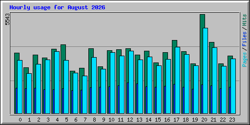 Hourly usage for August 2026