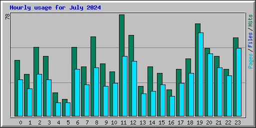 Hourly usage for July 2024