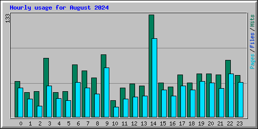 Hourly usage for August 2024