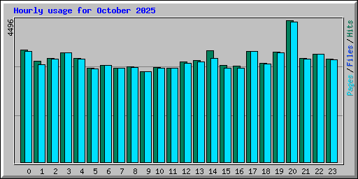 Hourly usage for October 2025