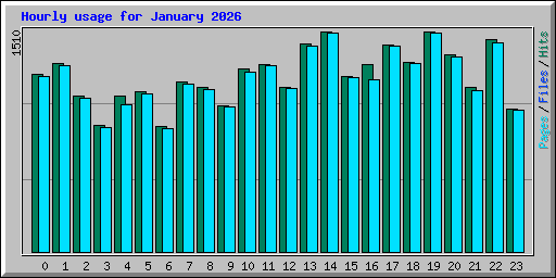 Hourly usage for January 2026