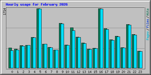 Hourly usage for February 2026