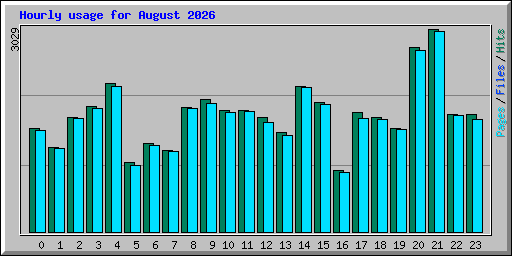 Hourly usage for August 2026